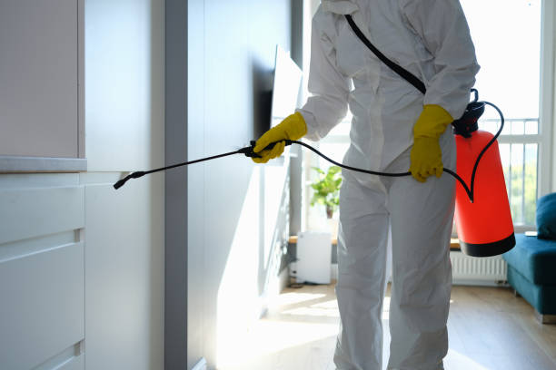Best Residential Mold Removal  in Burlington, WA