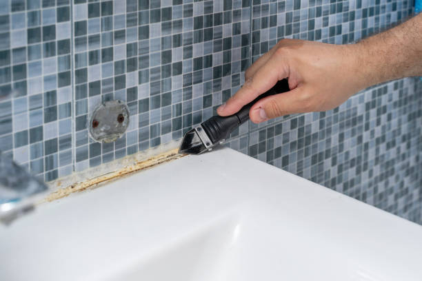 Best Certified Mold Removal  in Burlington, WA